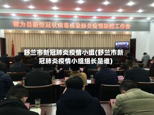 舒兰市新冠肺炎疫情小组(舒兰市新冠肺炎疫情小组组长是谁)