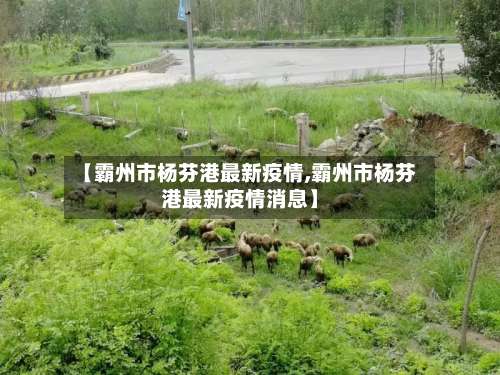 【霸州市杨芬港最新疫情,霸州市杨芬港最新疫情消息】