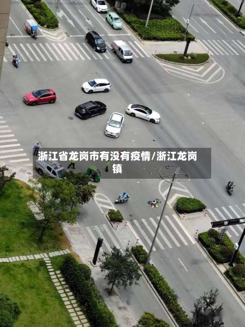 浙江省龙岗市有没有疫情/浙江龙岗镇
