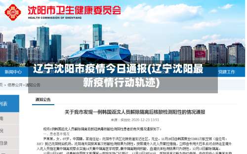 辽宁沈阳市疫情今日通报(辽宁沈阳最新疫情行动轨迹)