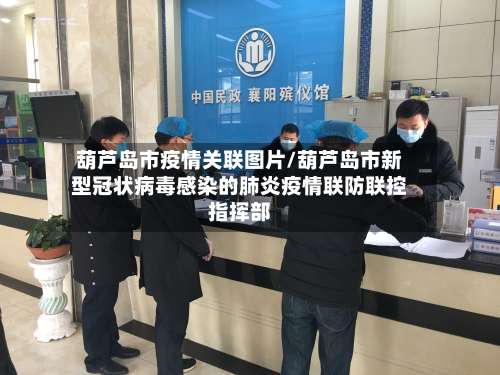 葫芦岛市疫情关联图片/葫芦岛市新型冠状病毒感染的肺炎疫情联防联控指挥部