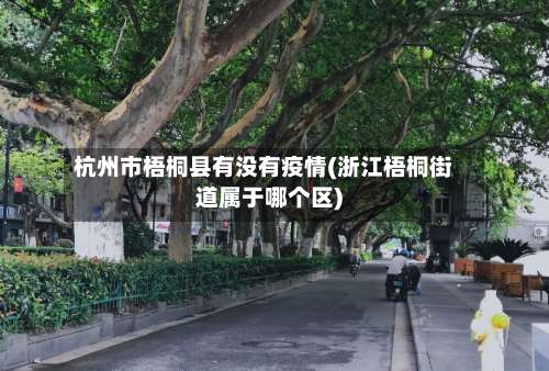 杭州市梧桐县有没有疫情(浙江梧桐街道属于哪个区)
