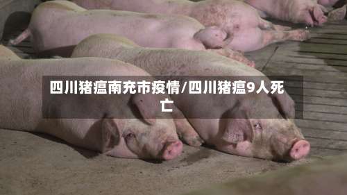 四川猪瘟南充市疫情/四川猪瘟9人死亡