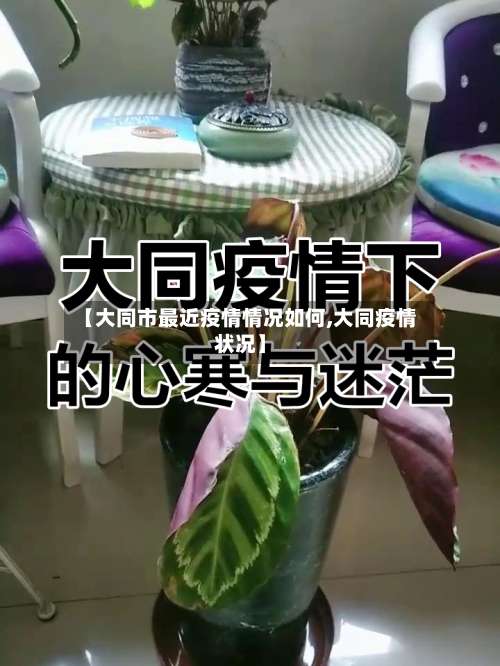 【大同市最近疫情情况如何,大同疫情状况】