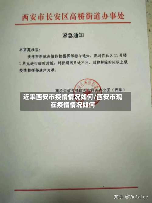 近来西安市疫情情况如何/西安市现在疫情情况如何-第2张图片