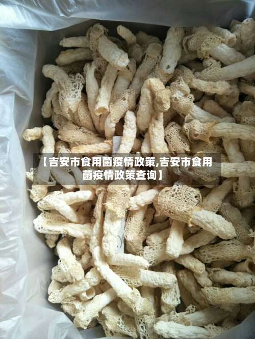 【吉安市食用菌疫情政策,吉安市食用菌疫情政策查询】