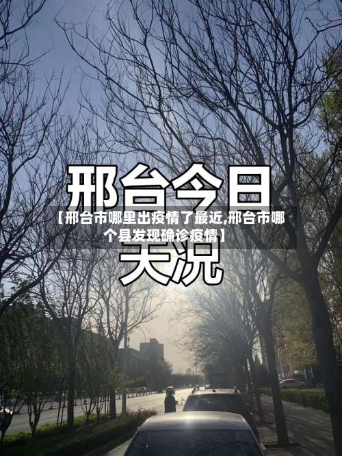 【邢台市哪里出疫情了最近,邢台市哪个县发现确诊疫情】-第2张图片
