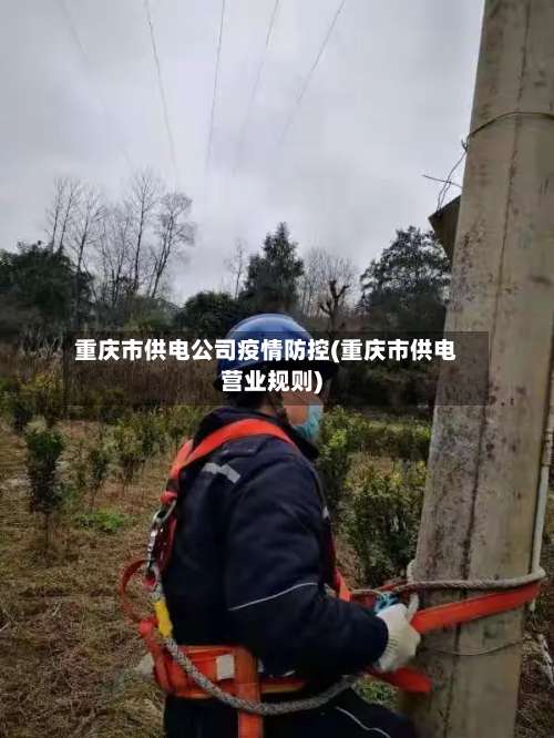 重庆市供电公司疫情防控(重庆市供电营业规则)