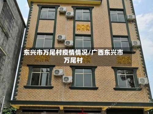 东兴市万尾村疫情情况/广西东兴市万尾村-第2张图片