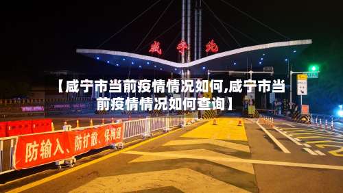 【咸宁市当前疫情情况如何,咸宁市当前疫情情况如何查询】
