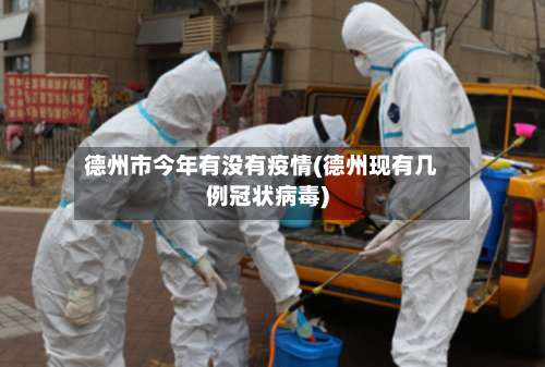 德州市今年有没有疫情(德州现有几例冠状病毒)