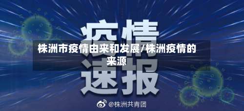 株洲市疫情由来和发展/株洲疫情的来源-第3张图片
