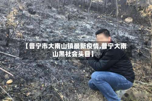【普宁市大南山镇最新疫情,普宁大南山黑社会头目】