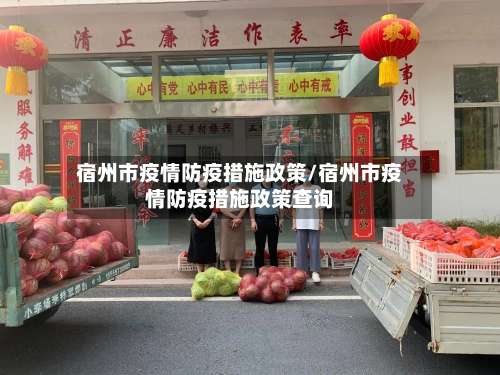 宿州市疫情防疫措施政策/宿州市疫情防疫措施政策查询-第2张图片
