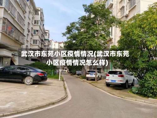 武汉市东苑小区疫情情况(武汉市东苑小区疫情情况怎么样)-第3张图片