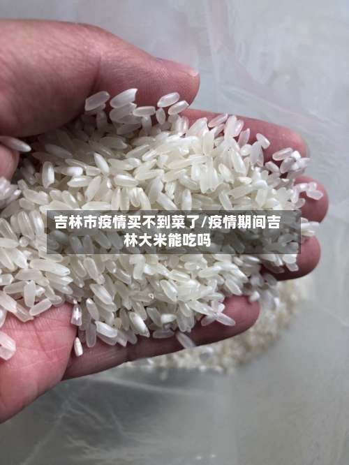 吉林市疫情买不到菜了/疫情期间吉林大米能吃吗-第2张图片