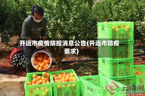 开远市疫情防控消息公告(开远市防疫要求)