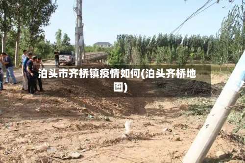 泊头市齐桥镇疫情如何(泊头齐桥地图)