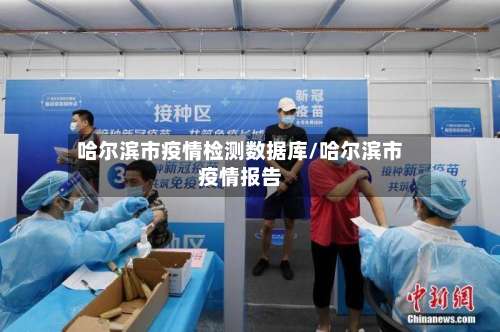 哈尔滨市疫情检测数据库/哈尔滨市疫情报告-第2张图片