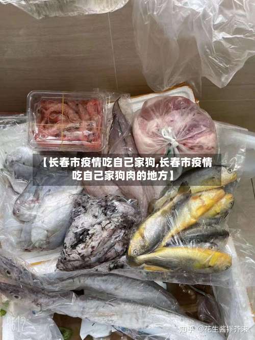 【长春市疫情吃自己家狗,长春市疫情吃自己家狗肉的地方】