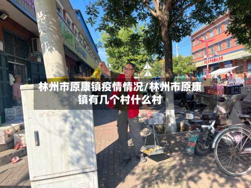 林州市原康镇疫情情况/林州市原康镇有几个村什么村