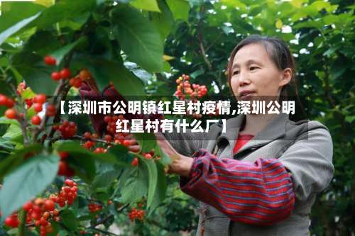 【深圳市公明镇红星村疫情,深圳公明红星村有什么厂】