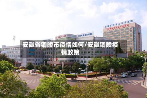 安徽省铜陵市疫情如何/安徽铜陵疫情政策-第2张图片