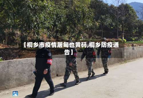 【桐乡市疫情屠甸也黄码,桐乡防疫通告】