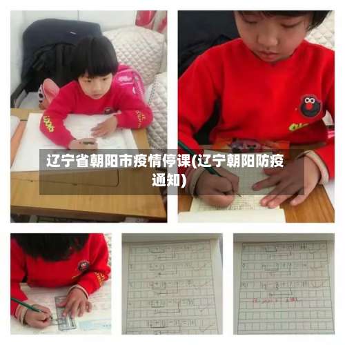 辽宁省朝阳市疫情停课(辽宁朝阳防疫通知)-第2张图片