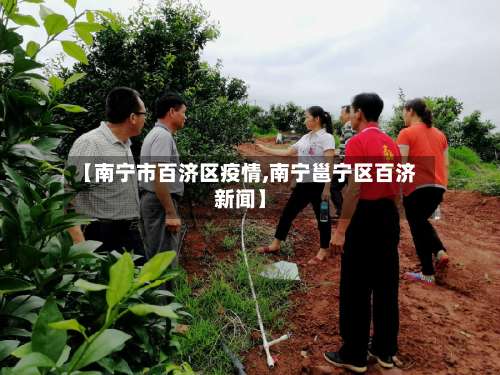 【南宁市百济区疫情,南宁邕宁区百济新闻】-第2张图片