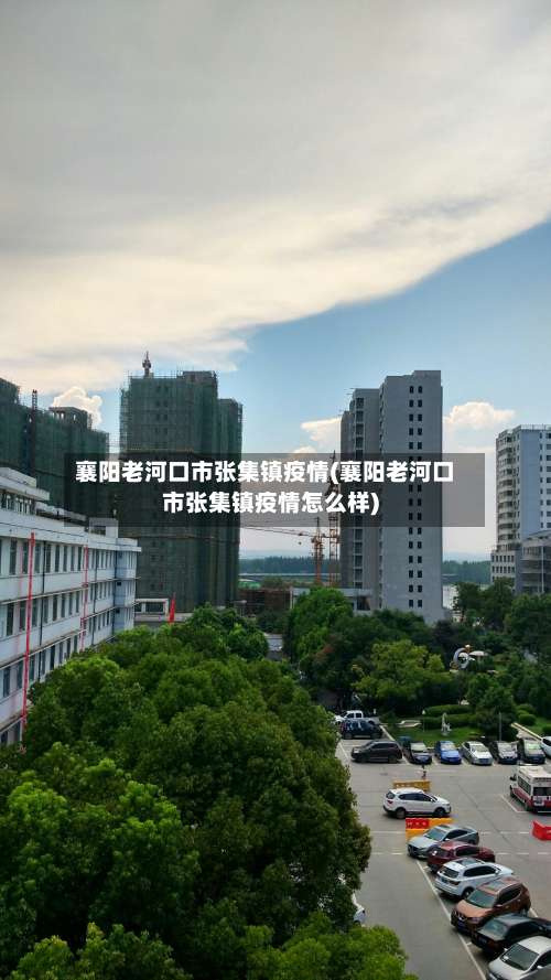 襄阳老河口市张集镇疫情(襄阳老河口市张集镇疫情怎么样)