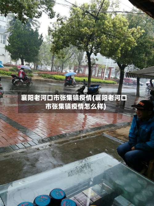 襄阳老河口市张集镇疫情(襄阳老河口市张集镇疫情怎么样)-第2张图片