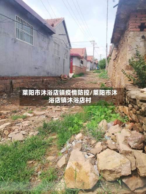 莱阳市沐浴店镇疫情防控/莱阳市沐浴店镇沐浴店村