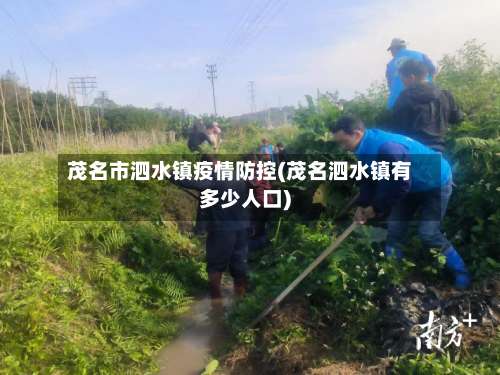 茂名市泗水镇疫情防控(茂名泗水镇有多少人口)