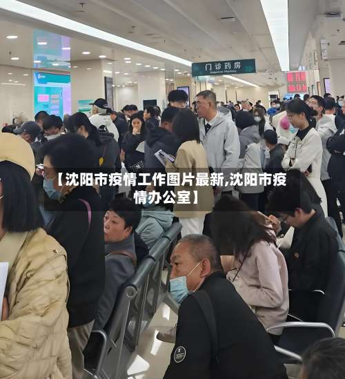 【沈阳市疫情工作图片最新,沈阳市疫情办公室】