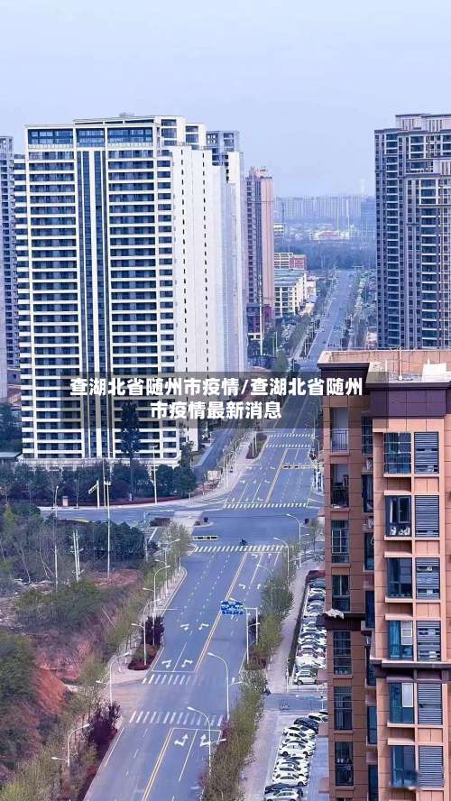 查湖北省随州市疫情/查湖北省随州市疫情最新消息-第2张图片