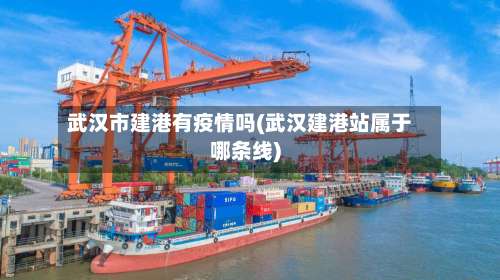 武汉市建港有疫情吗(武汉建港站属于哪条线)-第3张图片