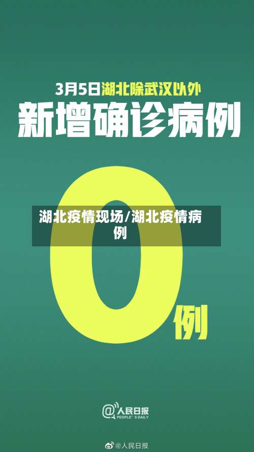 湖北疫情现场/湖北疫情病例