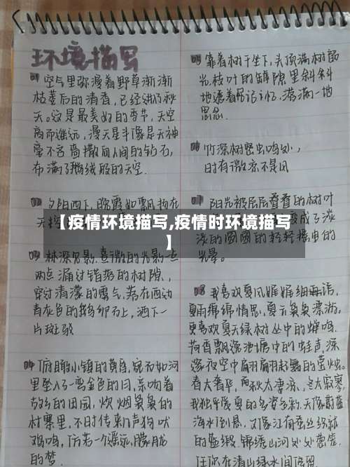 【疫情环境描写,疫情时环境描写】-第2张图片