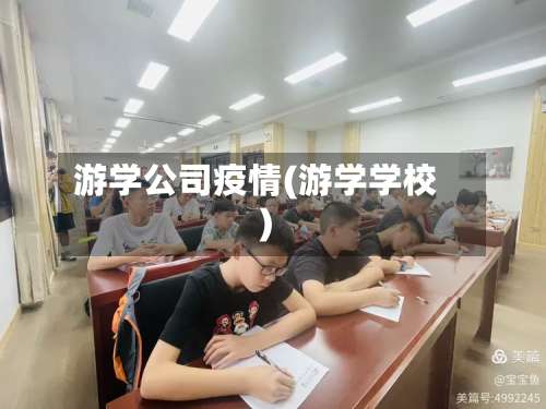 游学公司疫情(游学学校)