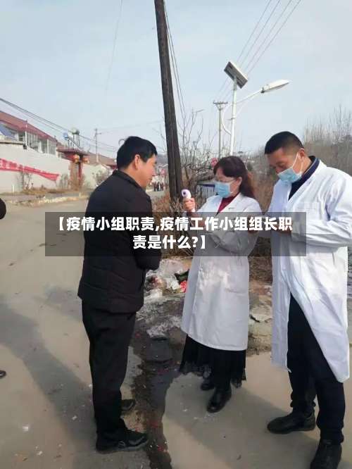 【疫情小组职责,疫情工作小组组长职责是什么?】