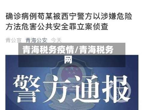 青海税务疫情/青海税务网-第2张图片