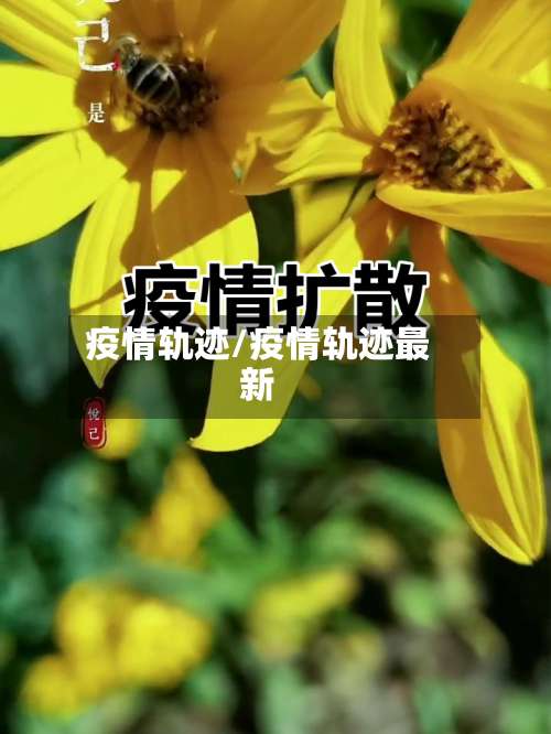 疫情轨迹/疫情轨迹最新