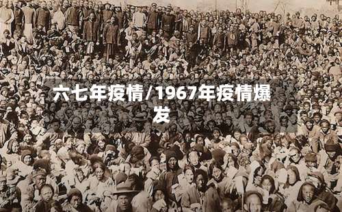 六七年疫情/1967年疫情爆发-第3张图片