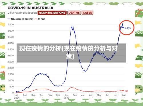 现在疫情的分析(现在疫情的分析与对策)