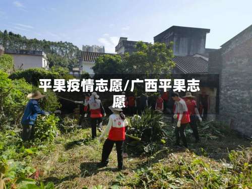 平果疫情志愿/广西平果志愿