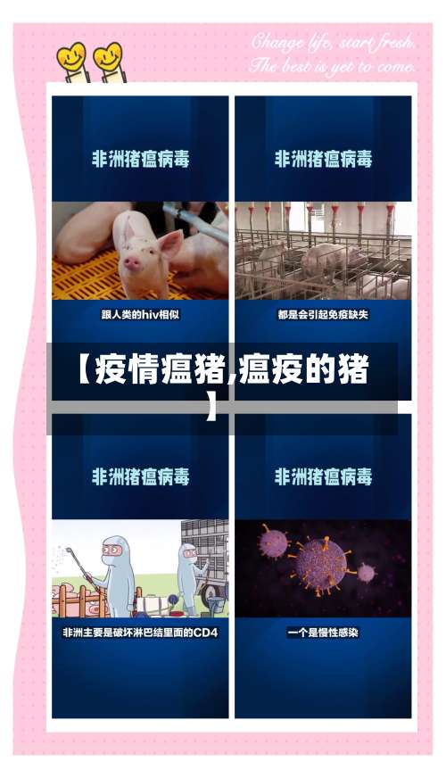 【疫情瘟猪,瘟疫的猪】