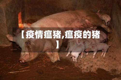 【疫情瘟猪,瘟疫的猪】-第2张图片