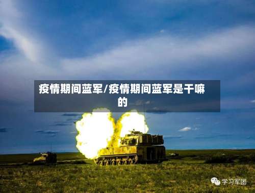 疫情期间蓝军/疫情期间蓝军是干嘛的-第3张图片