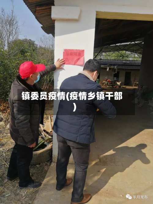 镇委员疫情(疫情乡镇干部)